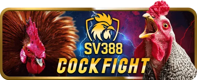 Ưu đãi độc quyền km3888b win